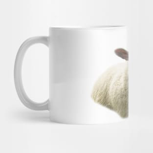 sweet sheep Mug